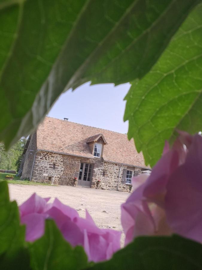 Les Naturelles Saint-Aubin-de-Locquenay Εξωτερικό φωτογραφία